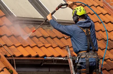 Démoussage et hydrofuge de toiture à la Montagne